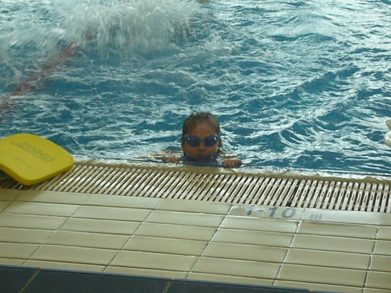 Travel - Australia - Sydney - Shazams - Fishmarket and Pool